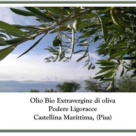 Grecale In Castellina Marittima By Interhome *