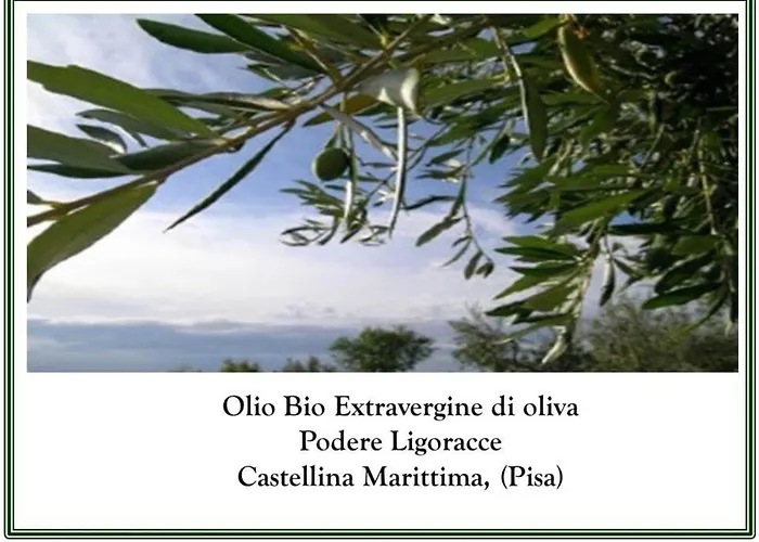 Grecale In Castellina Marittima By Interhome *