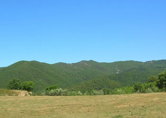 Grecale In Castellina Marittima By Interhome *