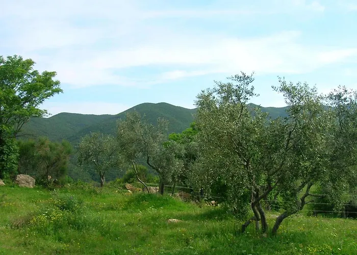 Grecale In Castellina Marittima By Interhome